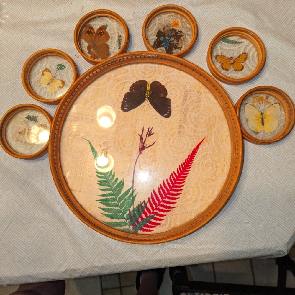 Hi Mark Raton Butterfly Tray with 6 Coasters